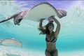 Xuống nước ngắm người mẫu chụp hình với cá đuối