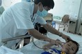 Hà Nội: 51 học sinh tiểu học Yên Sở bị ong đốt đã xuất viện