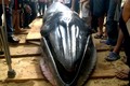 Cá voi dài gần 6 mét dạt vào bờ biển Phú Yên