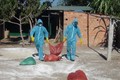 Kon Tum tiêu hủy gần 1.000 con gia cầm bị cúm A/H5N6 