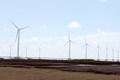 Bạc Liêu khánh thành nhà máy điện gió công suất trên 99 MW