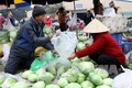 Rét hại, giá rau xanh ở Hà Nội tăng 30-40%