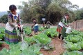 Đẩy mạnh thực hiện chương trình giảm nghèo bền vững ở vùng cao Yên Bái