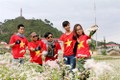 Nhiều điểm đến tại Đồng Văn thu hút khách dịp lễ hội hoa Tam giác mạch