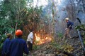 Bắc Giang chủ động phòng chống cháy rừng mùa khô