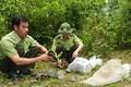 Ngăn chặn nạn săn bắt động vật, thủy sản tại Vườn Quốc gia U Minh Thượng