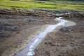 Điện Biên: Ô nhiễm môi trường từ chất thải do chế biến dong riềng