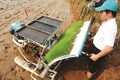 Hà Nội phát triển nông nghiệp công nghệ cao