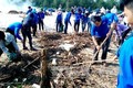 Tuổi trẻ Quảng Bình ra quân làm vệ sinh bờ biển