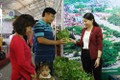 Thái Nguyên: Hội chợ, triển lãm “Mỗi xã, phường một sản phẩm”