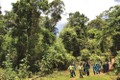 Kon Tum - tăng cường quản lý và bảo vệ rừng