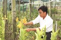 Đắk Lắk ứng dụng công nghệ cao trong sản xuất nông nghiệp