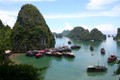Nhiều hãng lữ hành nước ngoài tìm hiểu tiềm năng du lịch Việt Nam