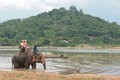 Đắk Lắk: Bảo tồn vùng nước nội địa sông Krông Ana - Cần có phương thức quản lý phù hợp