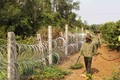 Biến đổi khí hậu: Đắk Lắk tăng cường công tác phòng, chống cháy loài sinh cảnh thông nước