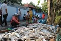 Chất độc trong nước là nguyên nhân khiến cá chết hàng loạt tại Thừa Thiên - Huế