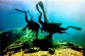 Khám phá Hòn Câu, ngỡ ngàng trước “thế giới” sinh vật biển