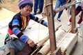 Nghề se lanh dệt vải của đồng bào Mông ở Sa Pa