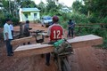 “Cào cào sắt” phá rừng ở Đăk Glei