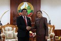 Đoàn đại biểu Hội đồng Dân tộc Quốc hội Việt Nam thăm, làm việc tạ Lào