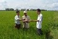 Hỗ trợ đất sản xuất cho đồng bào Khmer