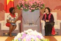 Chủ tịch Quốc hội Nguyễn Thị Kim Ngân tiếp Giám đốc Quốc gia Ngân hàng Thế giới tại Việt Nam