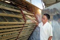“Tỷ phú” nuôi vịt trời đầu tiên ở Tuyên Quang