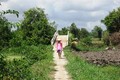 Tây Ninh: Cộng đồng cùng chung tay xóa cầu “khỉ” tạm bợ ở vùng sâu