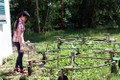Kiên Giang: Công trình sân chơi cho trẻ em bỏ hoang gây lãng phí
