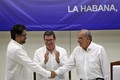 Colombia: FARC ra lệnh ngừng bắn dứt khoát