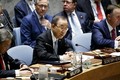 Hội đồng Bảo an Liên hợp quốc nhóm họp về tình hình Syria