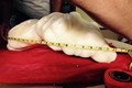 Một ngư dân Philippines tìm thấy khối ngọc trai nặng 34kg