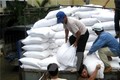 Hỗ trợ hơn 10 nghìn tấn gạo cho 12 địa phương