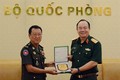 越南和柬埔寨加强陆地边境地区的救援合作