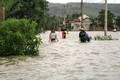 遭洪水袭击河内市数千公顷农作物被淹 清化省14人死亡