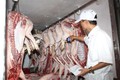Cần vá lỗ hổng khâu trung gian về truy xuất nguồn gốc thịt lợn tại Thành phố Hồ Chí Minh