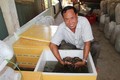 Kỹ thuật nuôi lươn trong can nhựa, ống nhựa hoặc thùng xốp