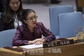 越南积极参与联合国维和行动 成为国际社会负责任的一员