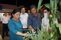 Khai mạc hội chợ xúc tiến thương mại - du lịch- nông nghiệp tỉnh Trà Vinh