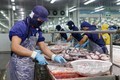 Tìm giải pháp gỡ khó cho cá tra xuất khẩu sang Mỹ