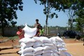 Hỗ trợ gạo cho học sinh vùng khó tỉnh Thanh Hóa