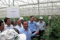 Thành phố Hồ Chí Minh nâng tỷ trọng ứng dụng công nghệ cao trong nông nghiệp