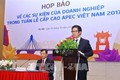 2017年APEC会议：越南工商峰会将于11月在岘港市举行