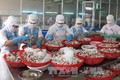 Hải sản Việt Nam nỗ lực trở lại “thẻ xanh” ở thị trường EU
