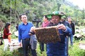 Phát triển nuôi ong mật bền vững đảm bảo an toàn thực phẩm