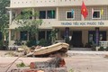 Hàn Quốc viện trợ Việt Nam một triệu USD khắc phục hậu quả bão số 12