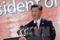 2017年APEC会议：中国支持经济全球化开放、包容 符合越南的倡议