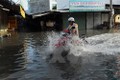 Thời tiết ngày 15/11: Nam Bộ triều cường dâng cao, từ Quảng Bình đến Quảng Ngãi có mưa to