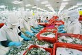 越南虾类对韩国出口增长29.8%