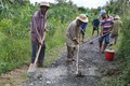 Lão nông Lê Văn Tám tích cực tham gia xây dựng nông thôn mới ở vùng ngập lũ